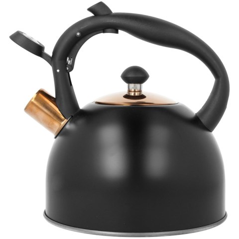CZAJNIK STALOWY 2.5L INDUKCJA GAZ BRUNBESTE BB-2455 CZARNY ROSE GOLD CZAJNIK STALOWY 2.5L INDUKCJA GAZ BRUNBESTE BB-2455 CZARNY ROSE GOLD