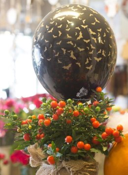 Balony 30 cm, Nietoperze, Pastel Black (1 op. / 6 szt.)
