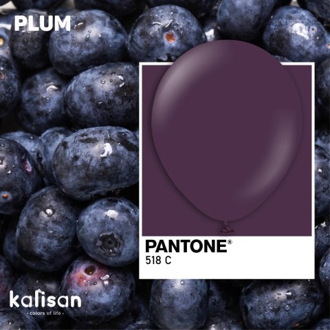 Balony lateksowe Kalisan Plum, fioletowy 45 cm, 25 szt. Balony lateksowe Kalisan Plum, fioletowy 45 cm, 25 szt.