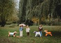 Stojący balon foliowy pies, Buldog, 75x57 cm