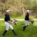 Skippi Hobby Horse z kantarem - Karmel - A3 HH - prezent na dzień dziecka
