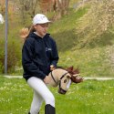 Skippi Hobby Horse z kantarem - Karmel - A3 HH - prezent na dzień dziecka