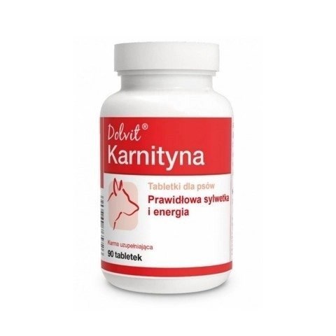 Dolfos Dolvit Karnityna 90 Tabletek Dolfos Dolvit Karnityna 90 Tabletek
