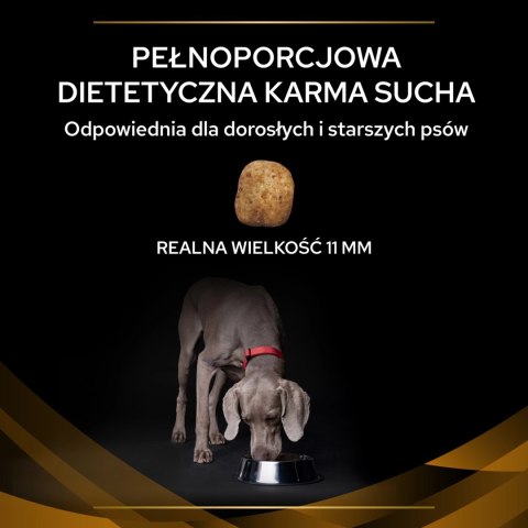 PURINA Pro Plan Veterinary Diets NF Renal Function 12kg PURINA Pro Plan Veterinary Diets NF Renal Function 12kg
