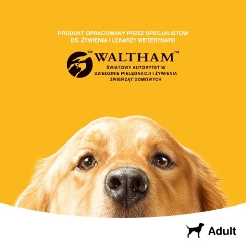 Pedigree Mokra Karma Dla Dorosłych Psów Z Kurczakiem I Warzywami W Sosie 100g Pedigree Mokra Karma Dla Dorosłych Psów Z Kurczakiem I Warzywami W Sosie 100g