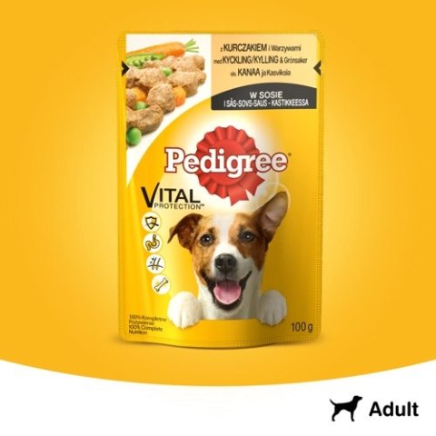 Pedigree Mokra Karma Dla Dorosłych Psów Z Kurczakiem I Warzywami W Sosie 100g Pedigree Mokra Karma Dla Dorosłych Psów Z Kurczakiem I Warzywami W Sosie 100g