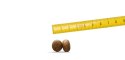 Josera YoungStar 900g