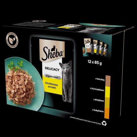 Sheba Saszetka Delicacy In Jelly Smaki Drobiowe 12x85g Sheba Saszetka Delicacy In Jelly Smaki Drobiowe 12x85g