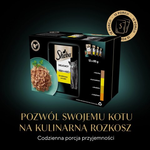 Sheba Saszetka Delicacy In Jelly Smaki Drobiowe 12x85g Sheba Saszetka Delicacy In Jelly Smaki Drobiowe 12x85g