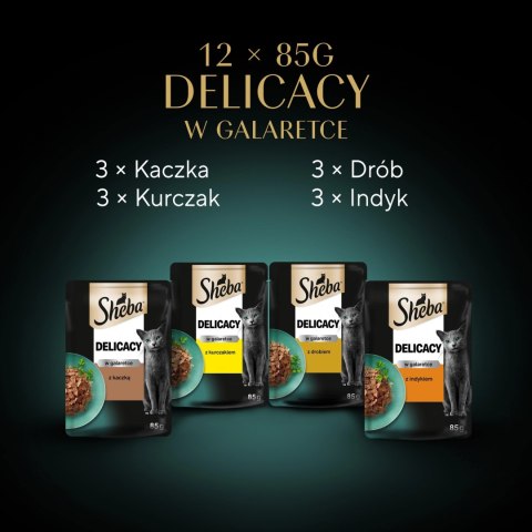Sheba Saszetka Delicacy In Jelly Smaki Drobiowe 12x85g Sheba Saszetka Delicacy In Jelly Smaki Drobiowe 12x85g