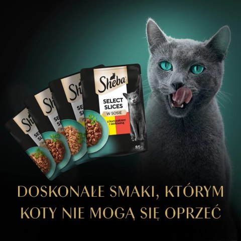 Sheba Saszetka Selection In Sauce Soczyste Smaki 4x85g Sheba Saszetka Selection In Sauce Soczyste Smaki 4x85g