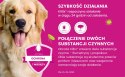 Bayer Kiltix Obroża Na Kleszcze I Pchły Dla Psa 70cm