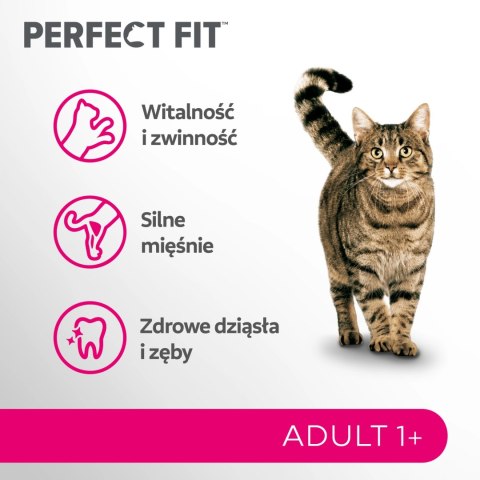 PERFECT FIT Adult 1+ Z Łososiem 750g PERFECT FIT Adult 1+ Z Łososiem 750g