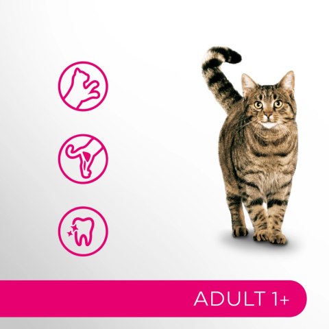PERFECT FIT Adult 1+ Z Łososiem 750g PERFECT FIT Adult 1+ Z Łososiem 750g