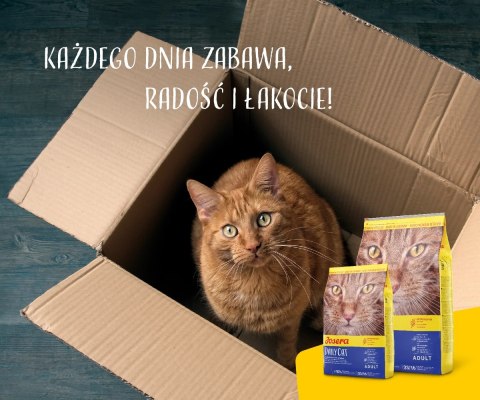 Josera Daily Cat 2kg Josera Daily Cat 2kg