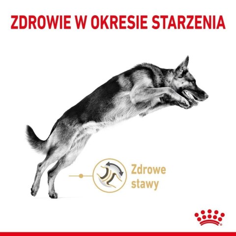 ROYAL CANIN German Shepherd Adult 5+ 12kg ROYAL CANIN German Shepherd Adult 5+ 12kg