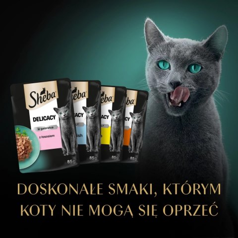 Sheba Fine Flakes In Jelly Saszetka 4x85g Sheba Fine Flakes In Jelly Saszetka 4x85g