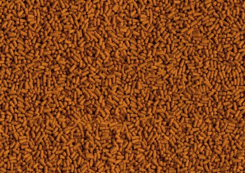 Tetra Pond Koi ColourandGrowth Sticks 1l Tetra Pond Koi ColourandGrowth Sticks 1l