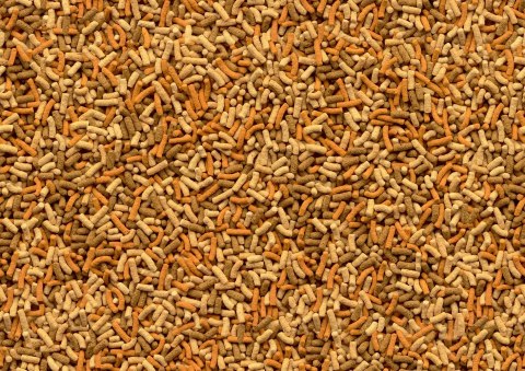 Tetra Pond Variety Sticks 1l Tetra Pond Variety Sticks 1l