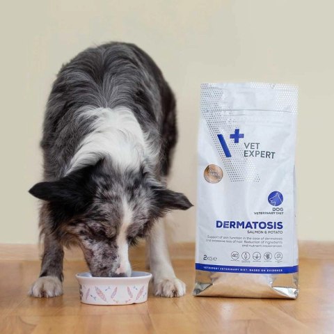 VETEXPERT Veterinary Diet Dog Dermatosis Salmon&Potato 2kg VETEXPERT Veterinary Diet Dog Dermatosis Salmon&Potato 2kg