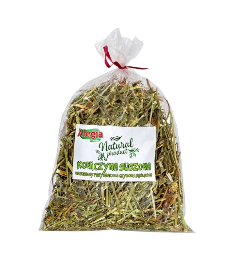 ALEGIA Koniczyna Suszona 100g ALEGIA Koniczyna Suszona 100g