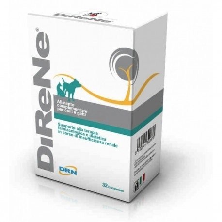 Geulincx Direne 32szt Geulincx Direne 32szt