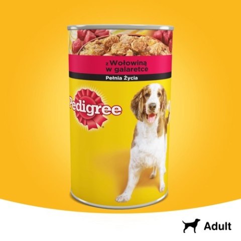 Pedigree Mokra Karma Dla Dorosłych Psów Z Wołowiną W Galaretce 1200g Pedigree Mokra Karma Dla Dorosłych Psów Z Wołowiną W Galaretce 1200g
