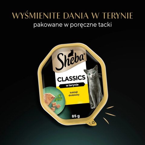 Sheba Classics Koktajl Drobiowy 85g Sheba Classics Koktajl Drobiowy 85g