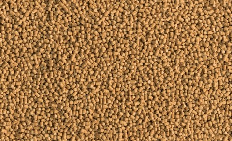 Tetra Pond Sticks Mini 1l Tetra Pond Sticks Mini 1l