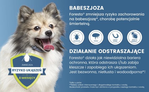 Bayer Foresto Obroża Dla Kotów I Psów 38cm Bayer Foresto Obroża Dla Kotów I Psów 38cm