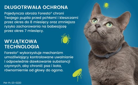 Bayer Foresto Obroża Dla Kotów I Psów 38cm Bayer Foresto Obroża Dla Kotów I Psów 38cm
