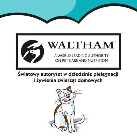DREAMIES Przysmak Dla Kota Z Łososiem 60g DREAMIES Przysmak Dla Kota Z Łososiem 60g