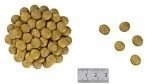 ROYAL CANIN Renal Feline 2kg ROYAL CANIN Renal Feline 2kg