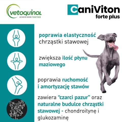 Vetoquinol Caniviton Forte Plus 90szt Vetoquinol Caniviton Forte Plus 90szt