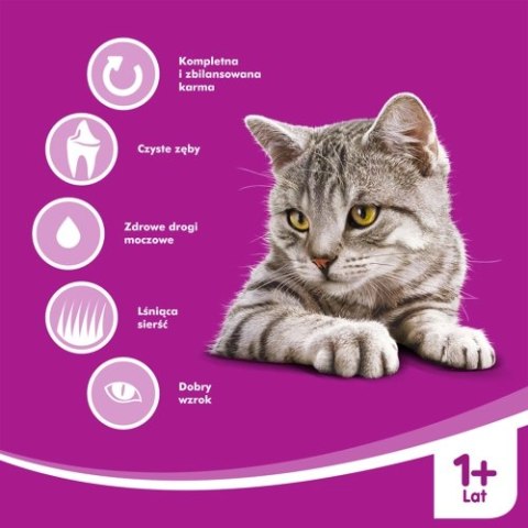 WHISKAS Karma Sucha Dla Kota 1+ Z Tuńczykiem 14kg WHISKAS Karma Sucha Dla Kota 1+ Z Tuńczykiem 14kg