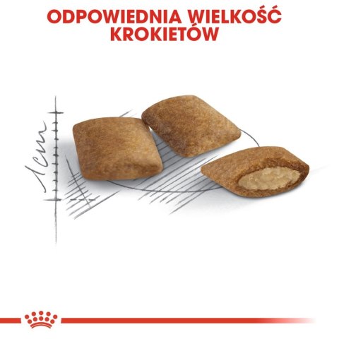 ROYAL CANIN Ageing +12 400g ROYAL CANIN Ageing +12 400g