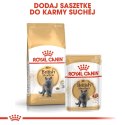 ROYAL CANIN British Shorthair Adult 10kg