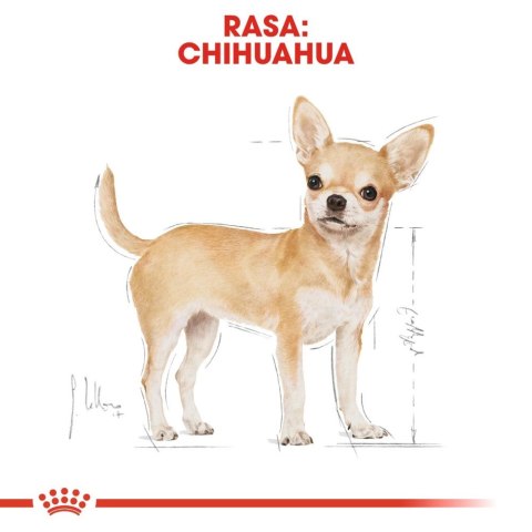 ROYAL CANIN Chihuahua Adult 1,5kg ROYAL CANIN Chihuahua Adult 1,5kg