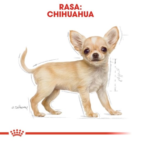 ROYAL CANIN Chihuahua Puppy 1,5kg ROYAL CANIN Chihuahua Puppy 1,5kg