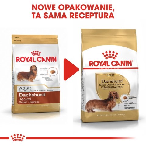 ROYAL CANIN Dachshund Adult 1,5kg ROYAL CANIN Dachshund Adult 1,5kg
