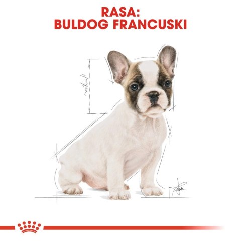 ROYAL CANIN French Bulldog Puppy 3kg ROYAL CANIN French Bulldog Puppy 3kg