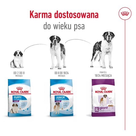 ROYAL CANIN Giant Adult 15kg ROYAL CANIN Giant Adult 15kg