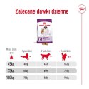 ROYAL CANIN Giant Adult 15kg