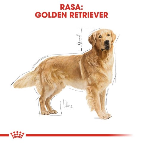 ROYAL CANIN Golden Retriever Adult 12kg ROYAL CANIN Golden Retriever Adult 12kg