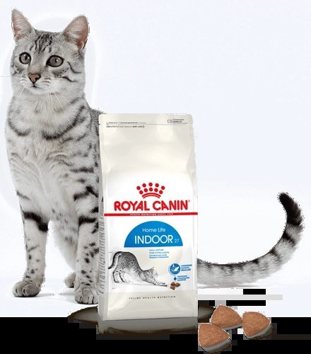 ROYAL CANIN Indoor 27 10kg ROYAL CANIN Indoor 27 10kg