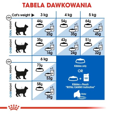 ROYAL CANIN Indoor Long Hair 10kg ROYAL CANIN Indoor Long Hair 10kg