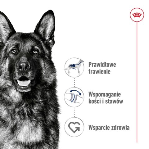 ROYAL CANIN Maxi Adult 15kg ROYAL CANIN Maxi Adult 15kg