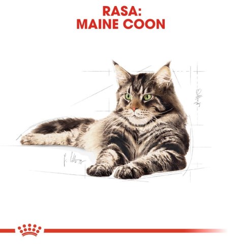 ROYAL CANIN Maine Coon Adult 4kg ROYAL CANIN Maine Coon Adult 4kg