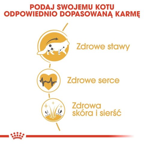 ROYAL CANIN Maine Coon Adult 4kg ROYAL CANIN Maine Coon Adult 4kg
