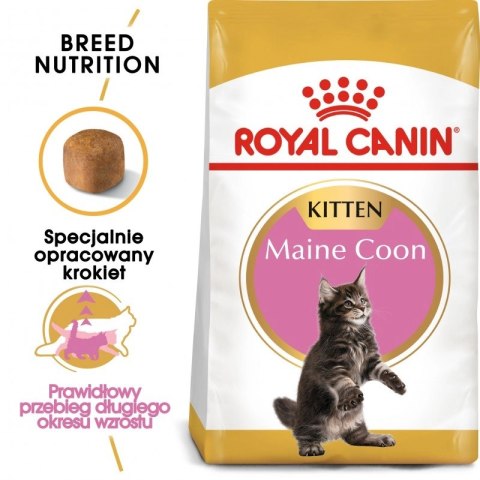 ROYAL CANIN Maine Coon Kitten 10kg ROYAL CANIN Maine Coon Kitten 10kg